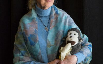 The Storytelling Genius of Jane Goodall and Why Intellectual Arguments Don’t Change Behavior
