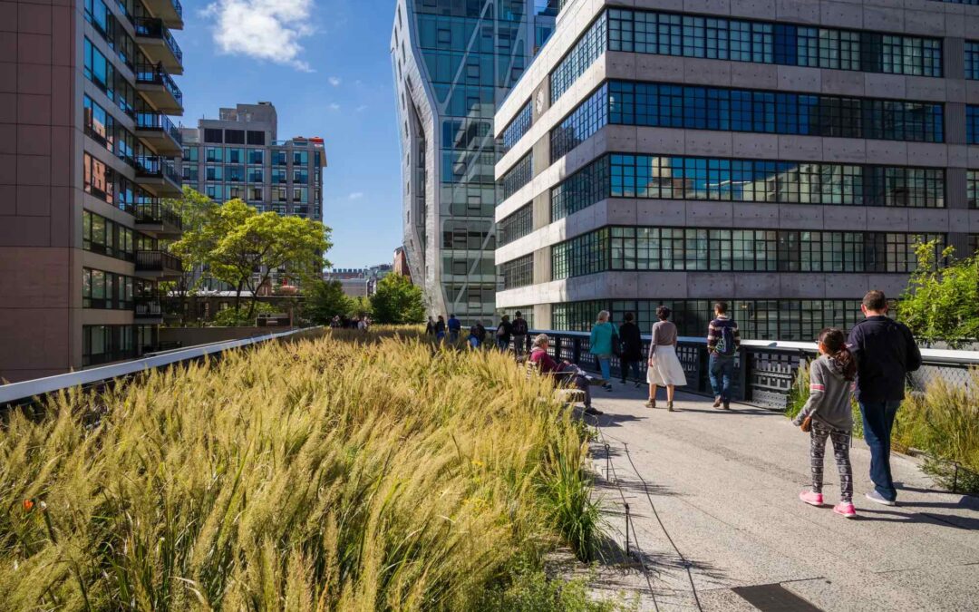 How investing in green infrastructure helps cities manage the effects of the climate crisis and creates healthy communities